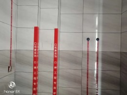 【观唐装饰】建业定鼎府